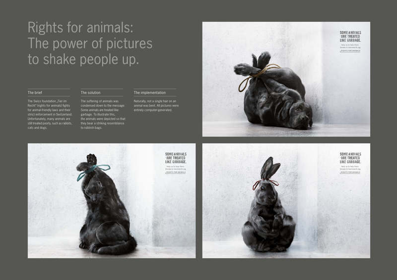 Animals treated like garbage