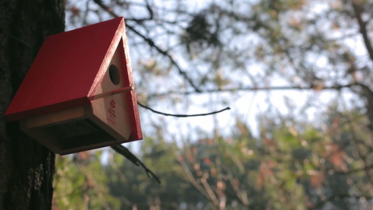 BirdHouse Alarm