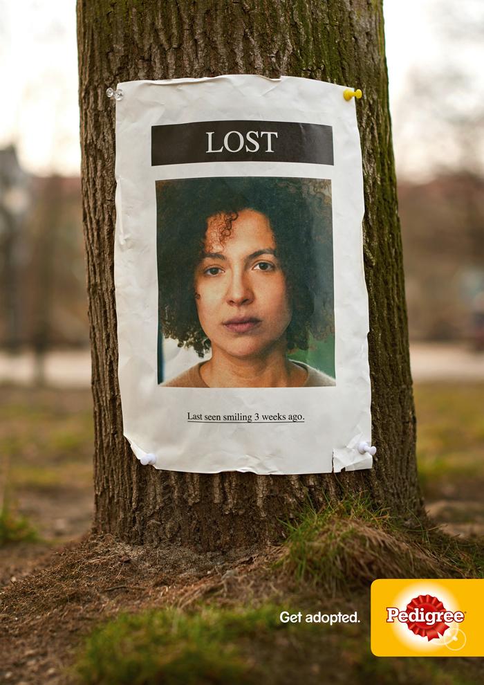 Pedigree “The Lost Campaign” / “Marious”, “Roberta”, “Cisel”