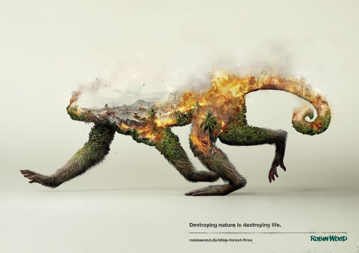Disappearing Animals