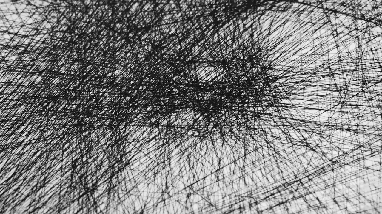 String Portraits