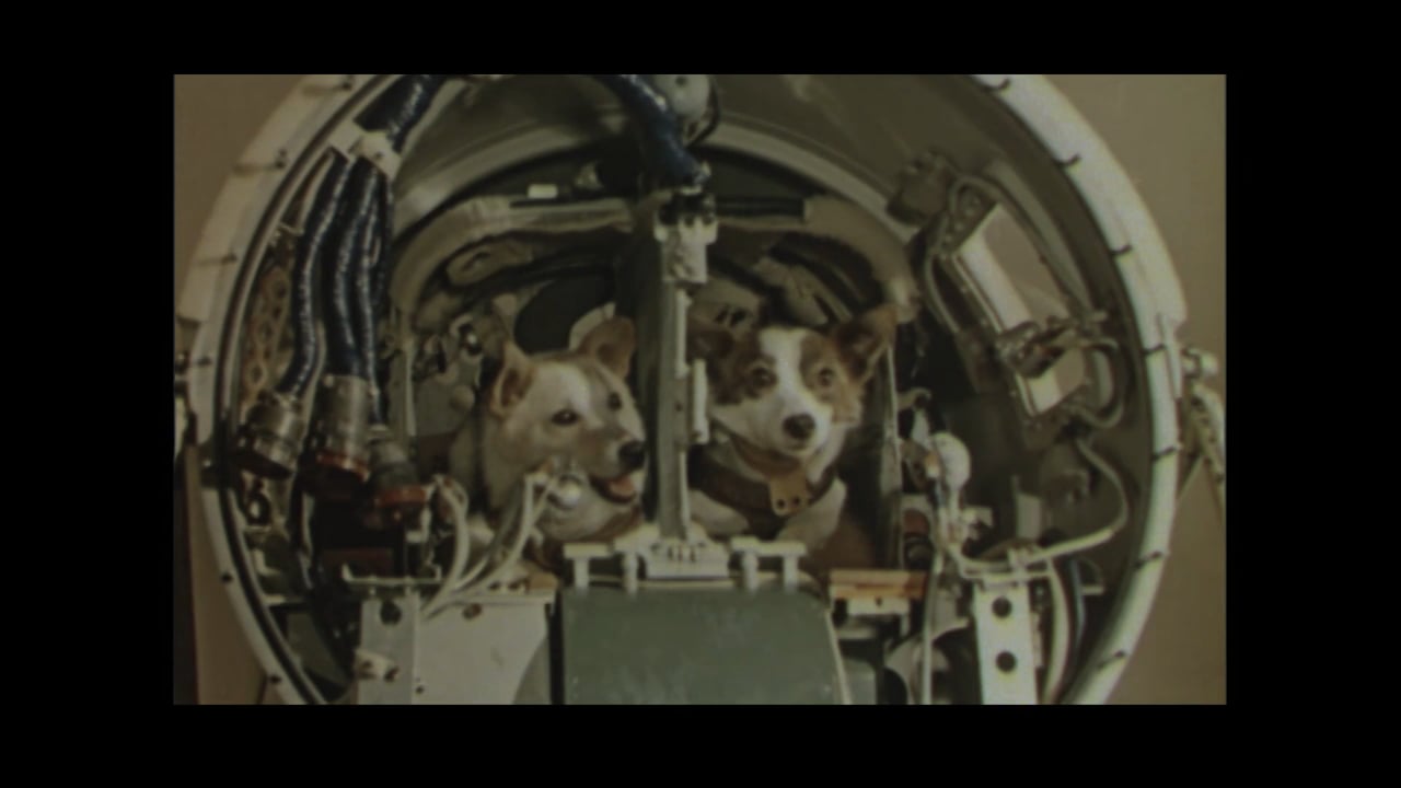 El legado de Strelka