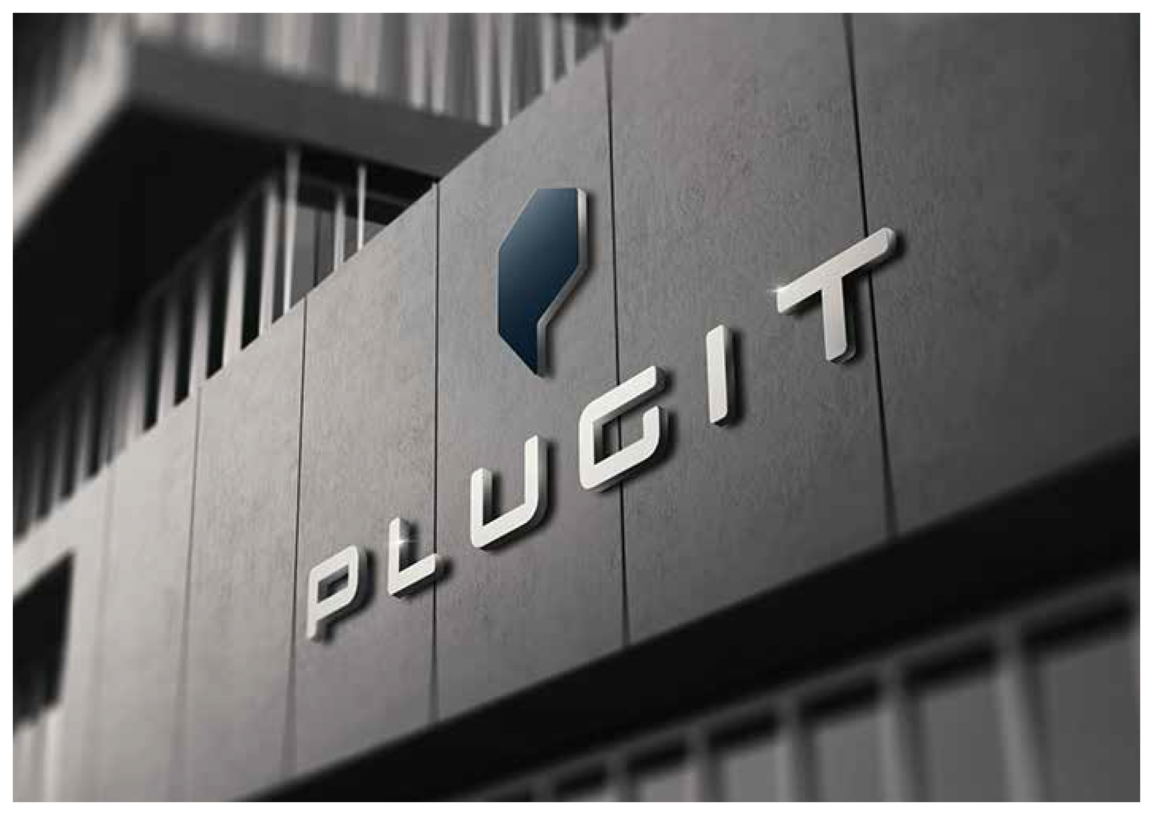 Plugit Logo ID