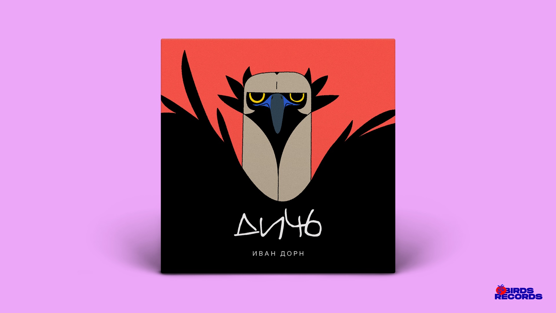 Birds Records