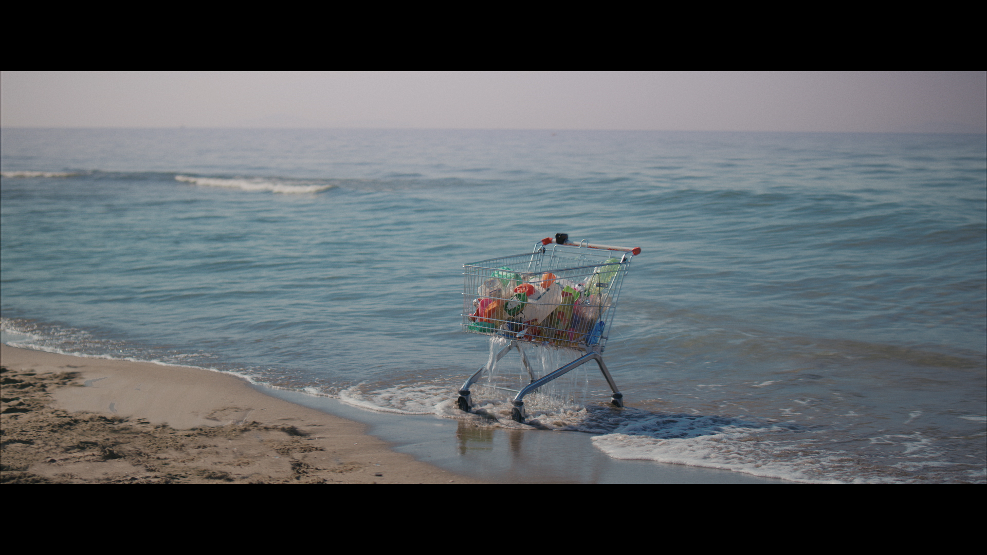 Shopping Cart