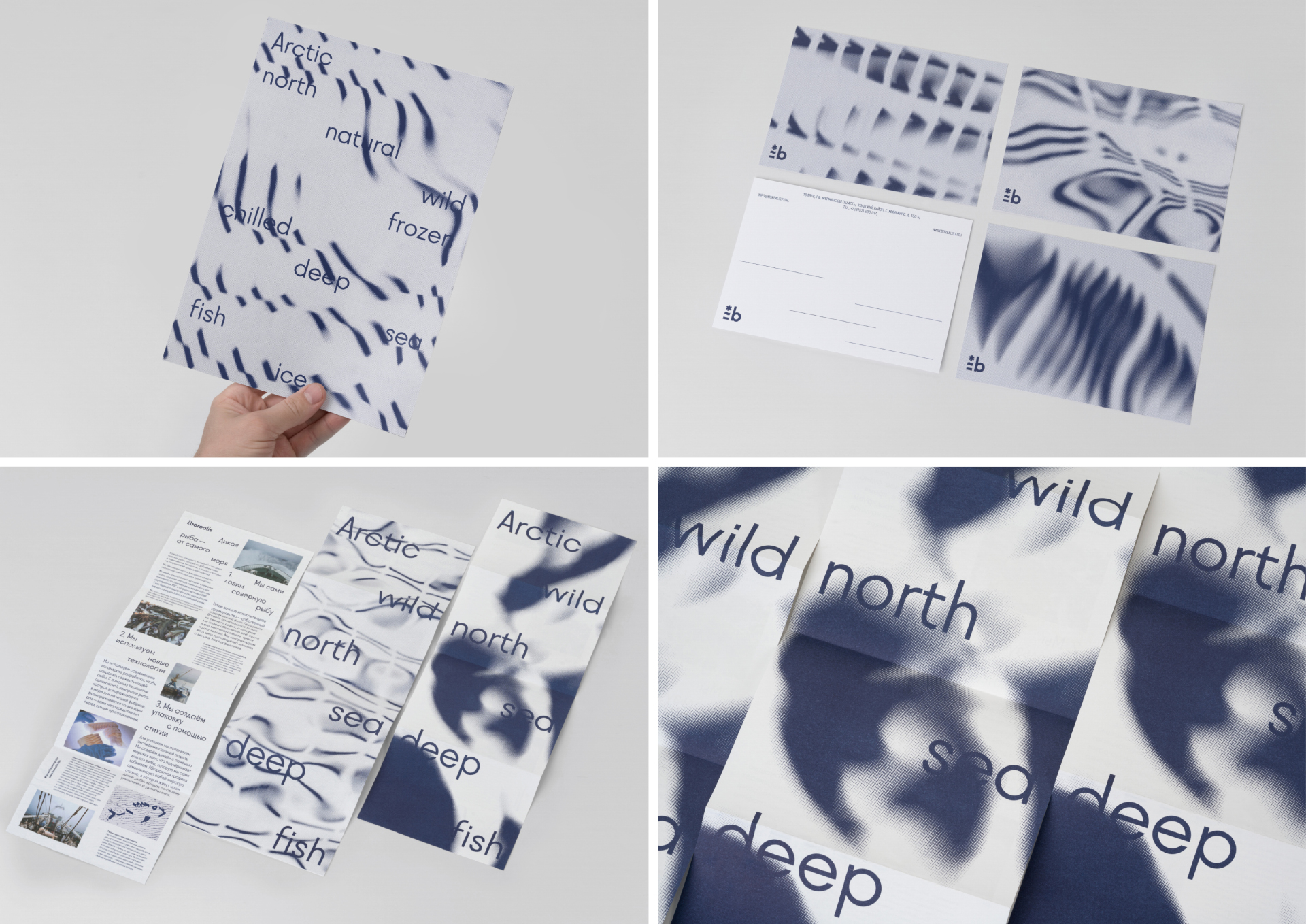 Borealis Identity