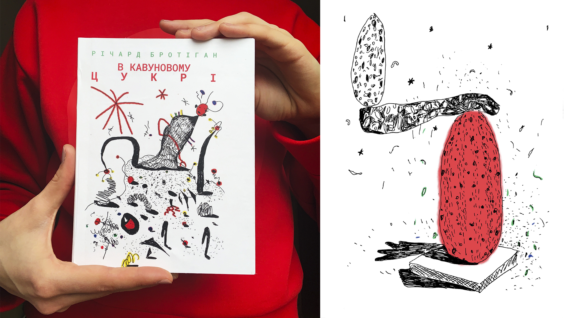 Illustrations for the novel “In watermelon sugar”