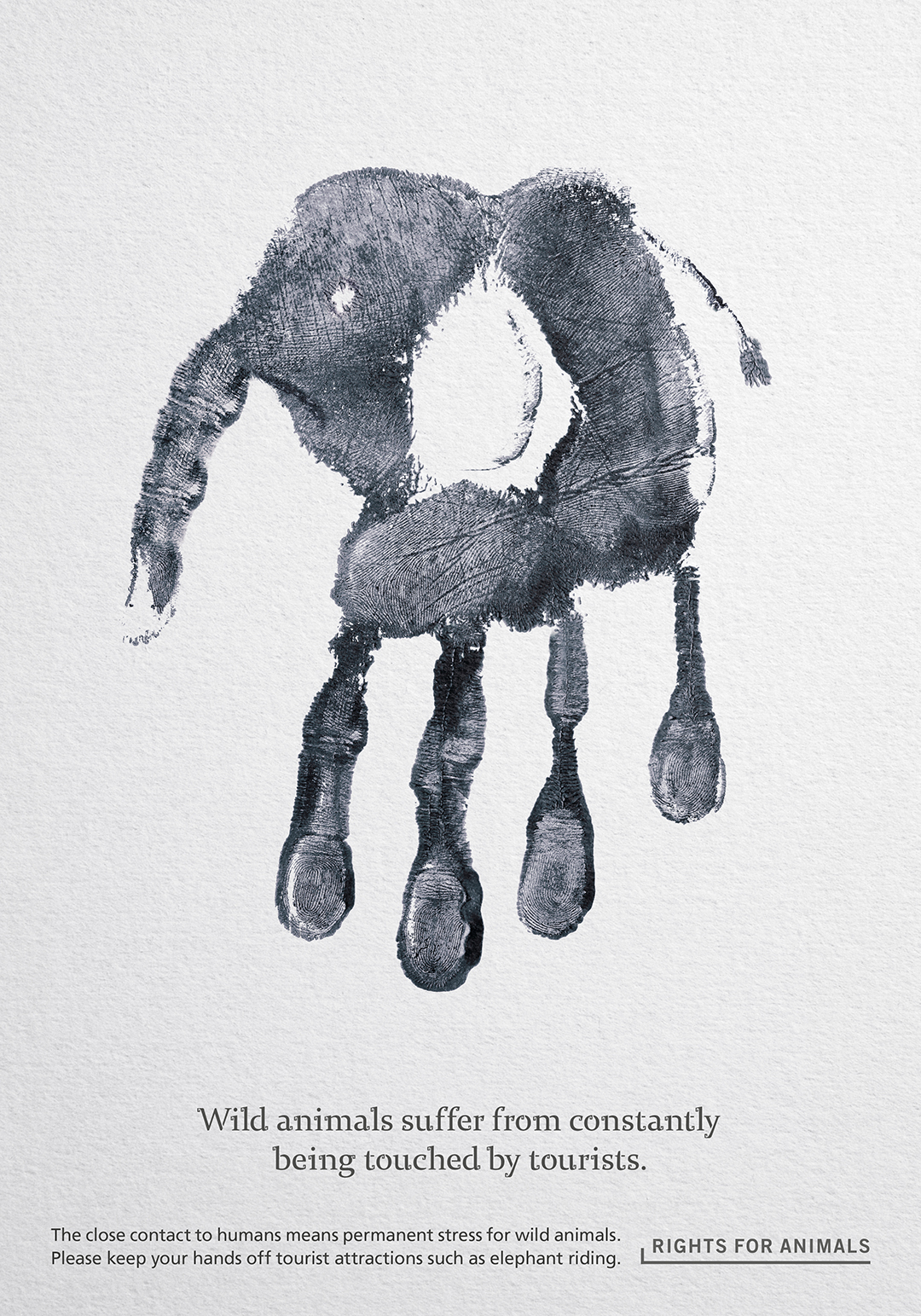 Animal Handprints