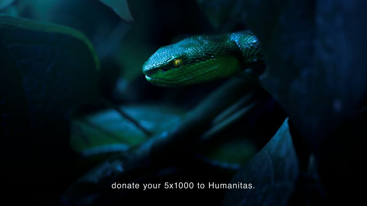A Real Challenge