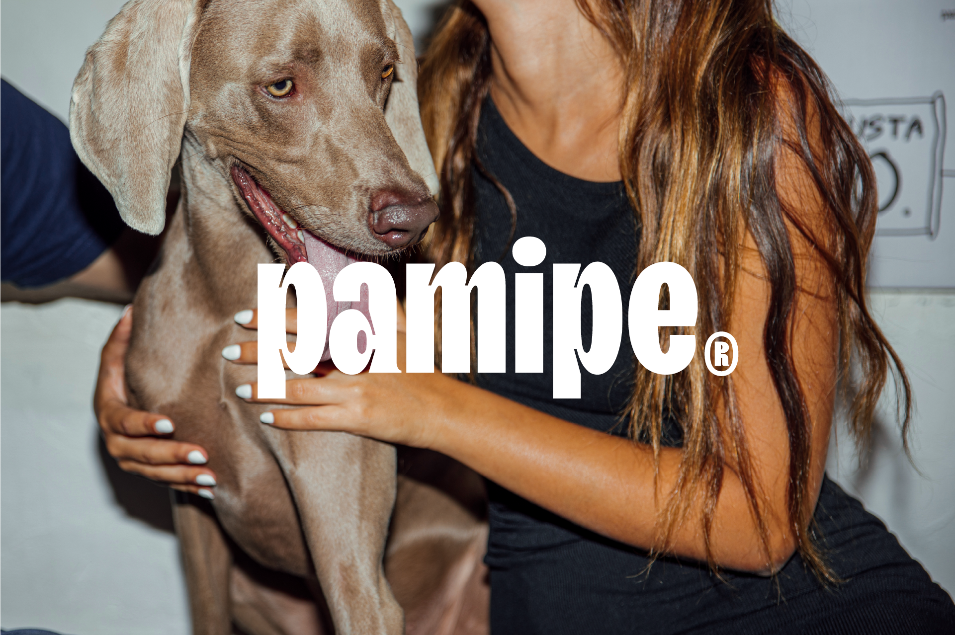 Brand identity