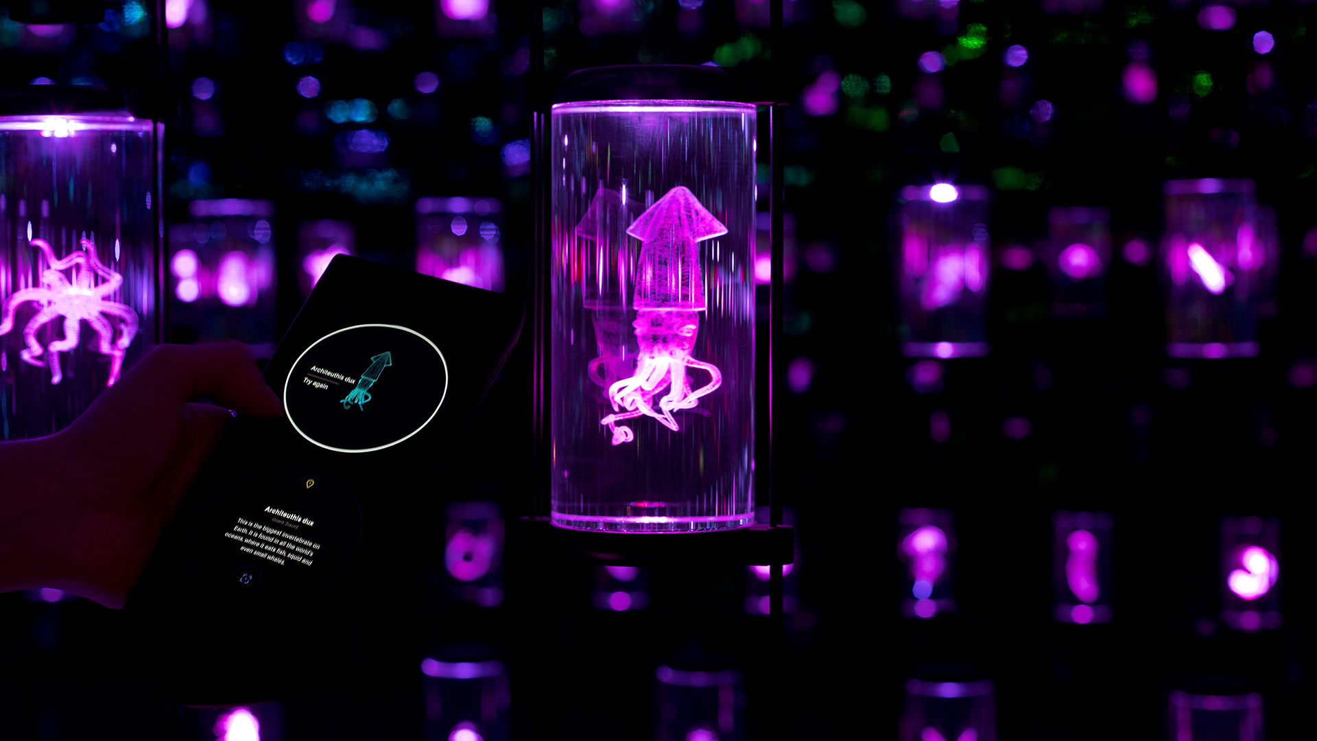 Museum of the Future – Journey of the Pioneers