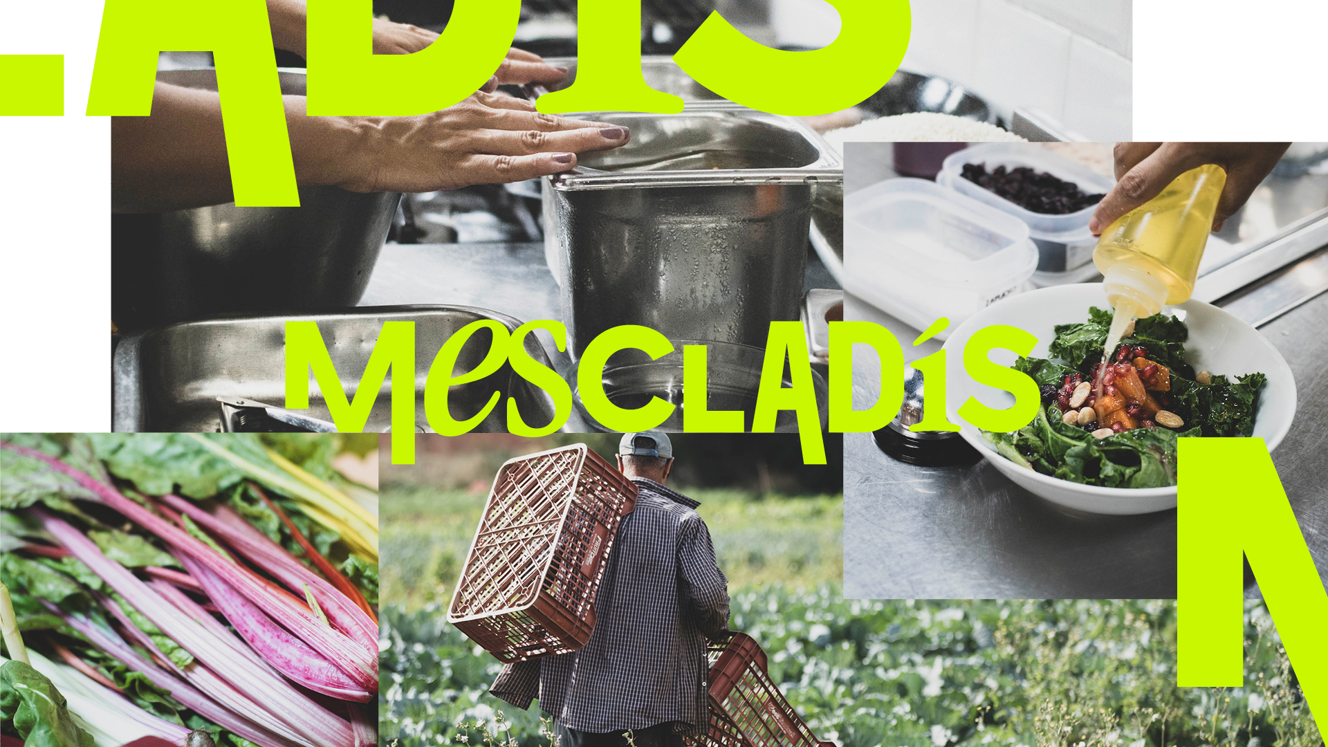 A corporate brand identity that repositions Mescladís and strengthens its community ties